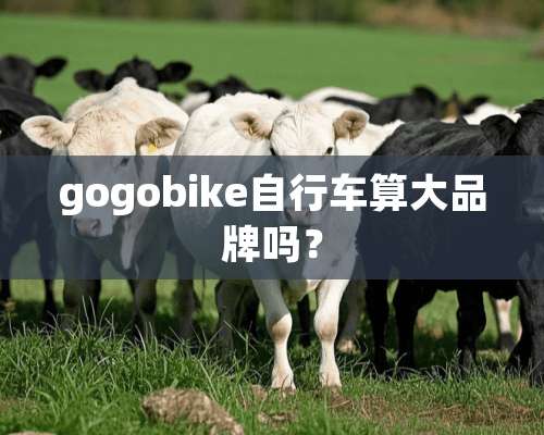 gogobike自行车算大品牌吗？