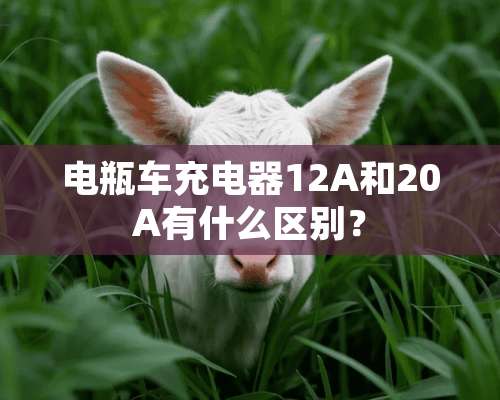 电瓶车充电器12A和20A有什么区别？