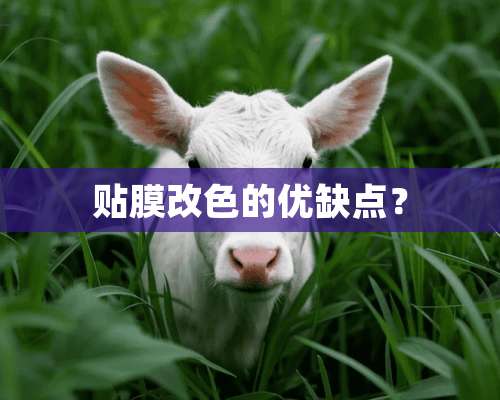 贴膜改色的优缺点？