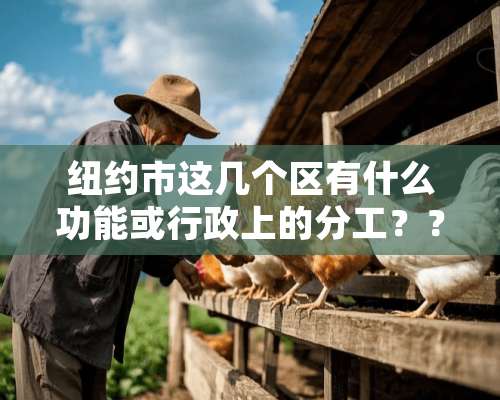 纽约市这几个区有什么功能或行政上的分工？？