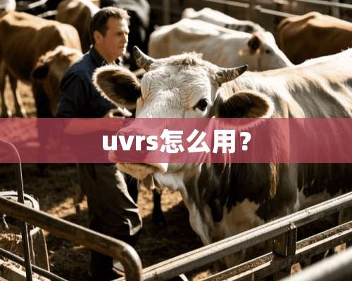 uvrs怎么用？