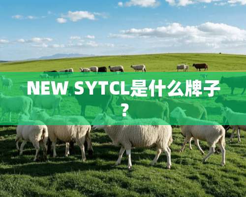 NEW SYTCL是什么牌子？