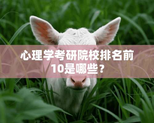 心理学考研院校排名前10是哪些？