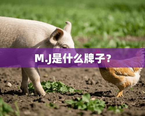 M.J是什么牌子？