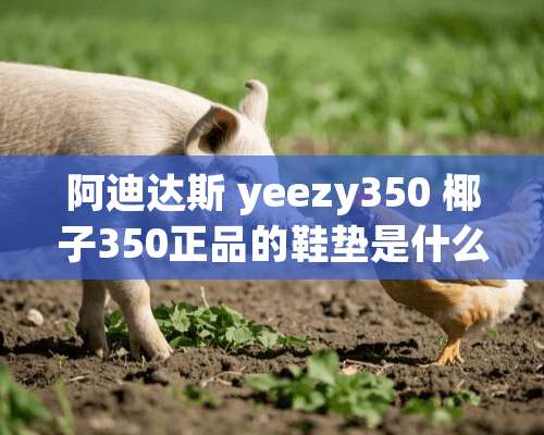 阿迪达斯 yeezy350 椰子350正品的鞋垫是什么样的？发图详解