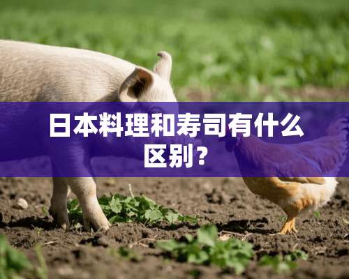 日本料理和寿司有什么区别？