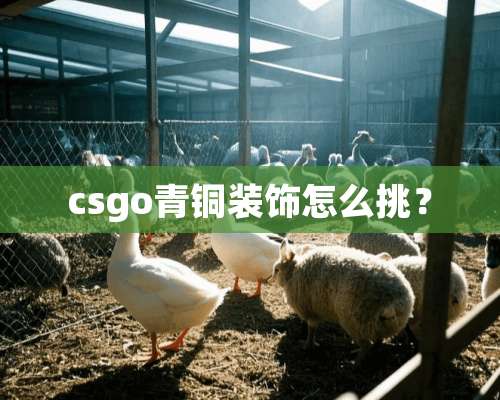 csgo青铜装饰怎么挑？