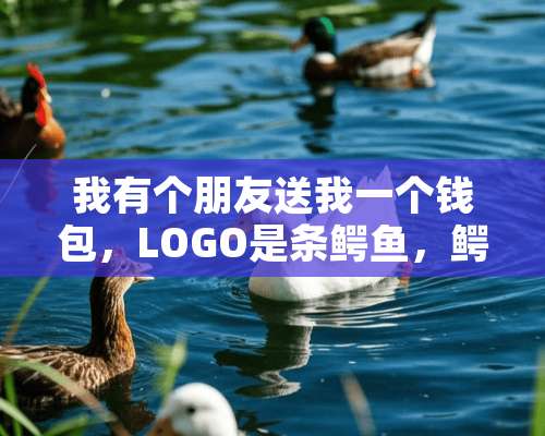 我有个朋友送我一个钱包，LOGO是条鳄鱼，鳄鱼身上六个字母：ORIENG