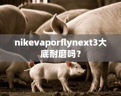 nikevaporflynext3大底耐磨吗？