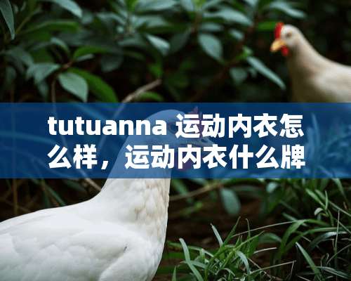 tutuanna 运动**怎么样，运动**什么牌子