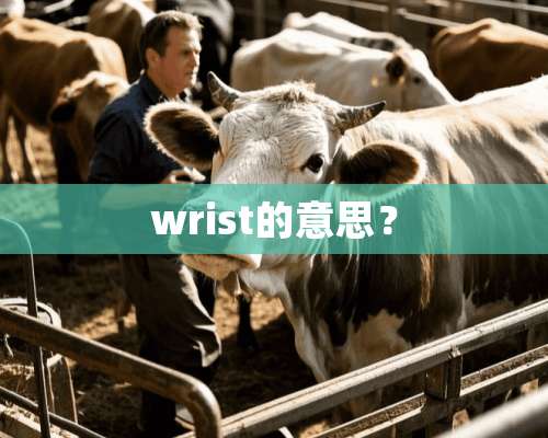 wrist的意思？