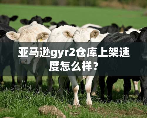 亚马逊gyr2仓库上架速度怎么样？