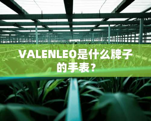 VALENLEO是什么牌子的手表？