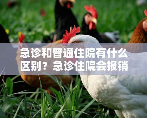 急诊和普通住院有什么区别？急诊住院会报销？