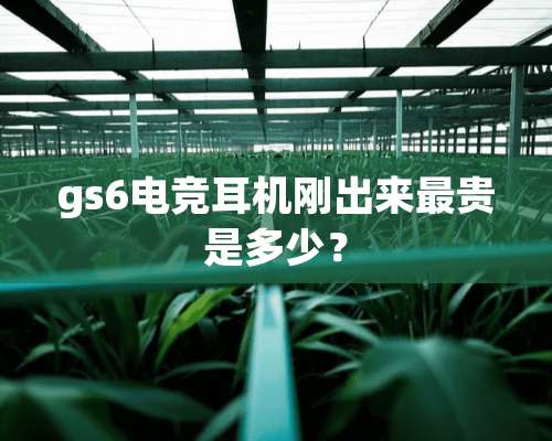 gs6电竞耳机刚出来最贵是多少？