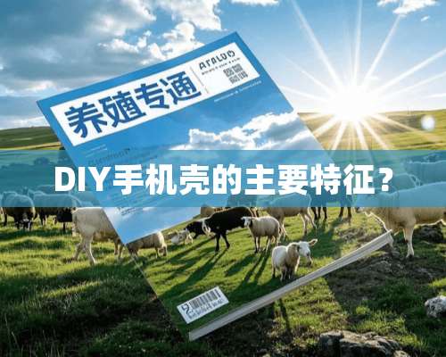 DIY手机壳的主要特征？