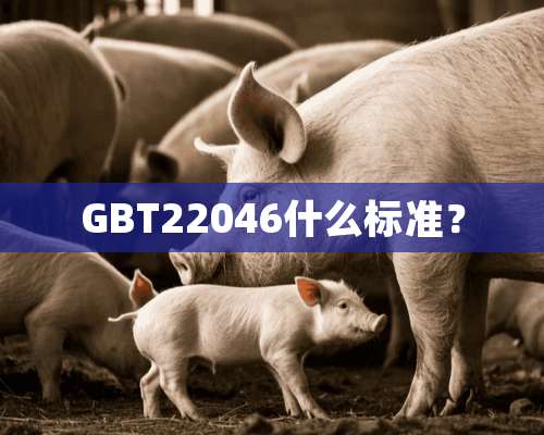 GBT22046什么标准？