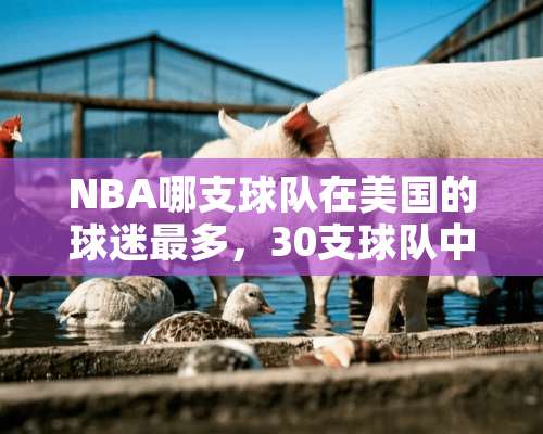 NBA哪支球队在美国的球迷最多，30支球队中