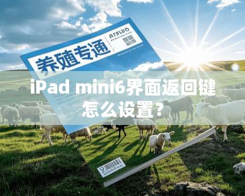 iPad mini6界面返回键怎么设置？