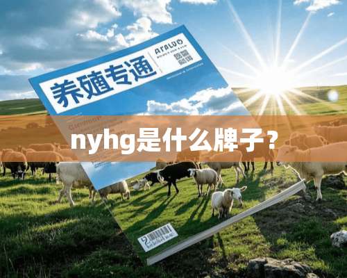 nyhg是什么牌子？