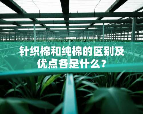 针织棉和纯棉的区别及优点各是什么？