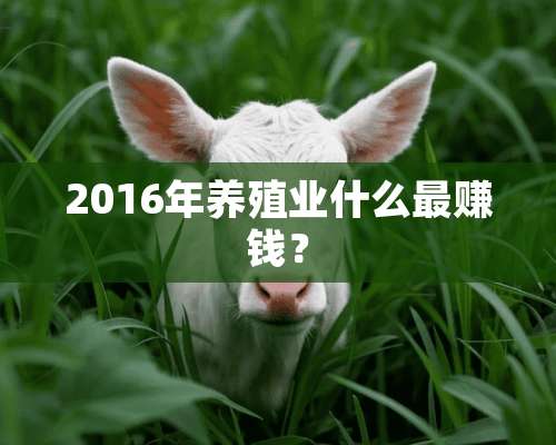 2016年养殖业什么最赚钱？