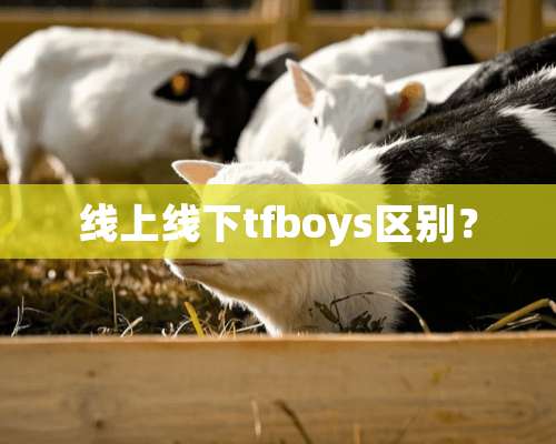 线上线下tfboys区别？