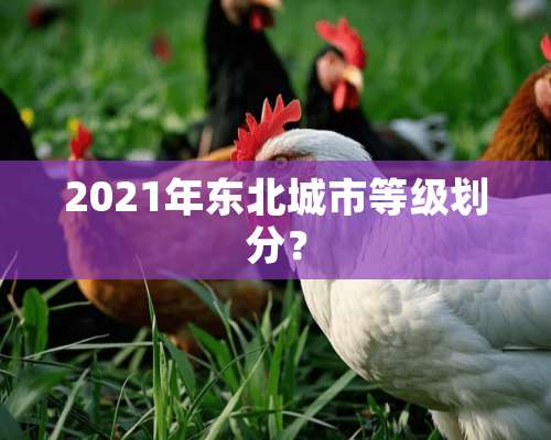 2021年东北城市等级划分？