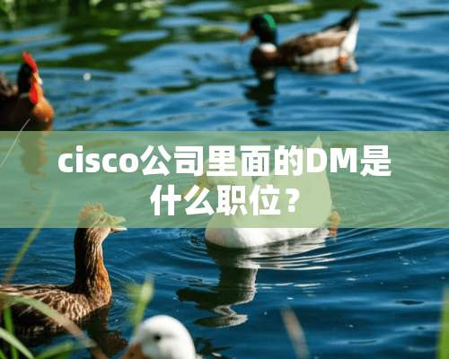 cisco公司里面的DM是什么职位？