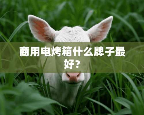 商用电烤箱什么牌子最好？