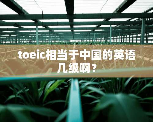 toeic相当于中国的英语几级啊？