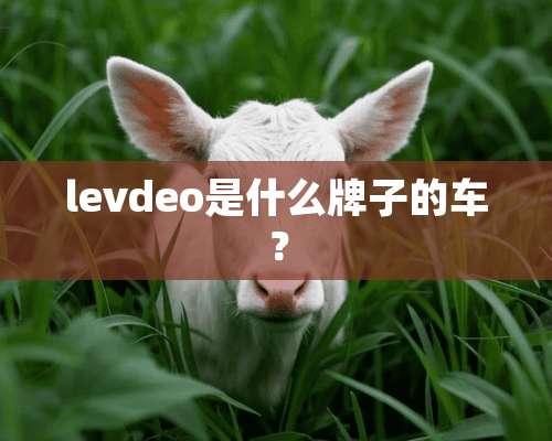 levdeo是什么牌子的车？