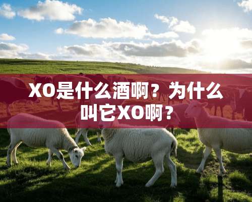 XO是什么酒啊？为什么叫它XO啊？