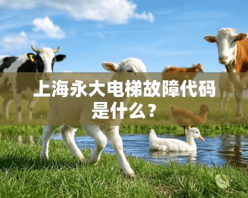 上海永大电梯故障代码是什么？