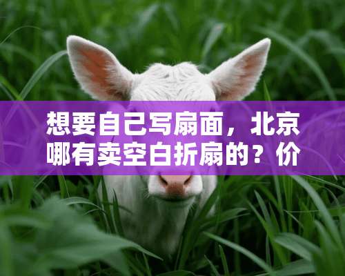 想要自己写扇面，北京哪有卖空白折扇的？价格咋样？