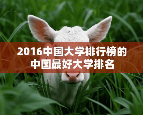 2016中国大学排行榜的中国最好大学排名