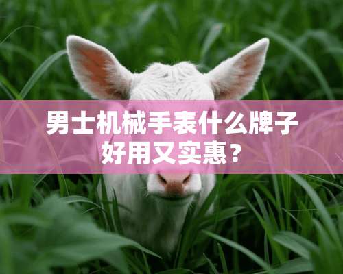 男士机械手表什么牌子好用又实惠？