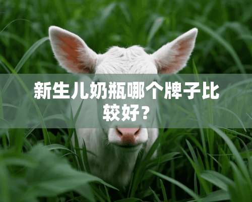 新生儿奶瓶哪个牌子比较好？