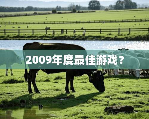 2009年度最佳游戏？