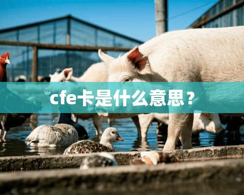 cfe卡是什么意思？