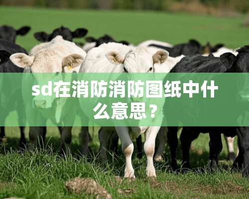 sd在消防消防图纸中什么意思？