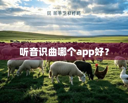 听音识曲哪个app好？