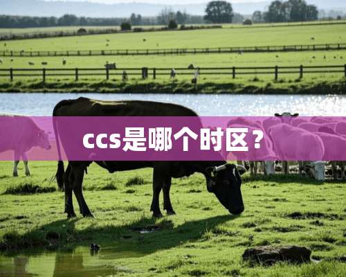 ccs是哪个时区？