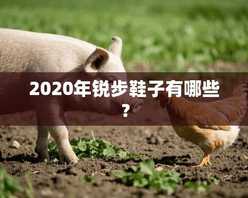 2020年锐步鞋子有哪些？