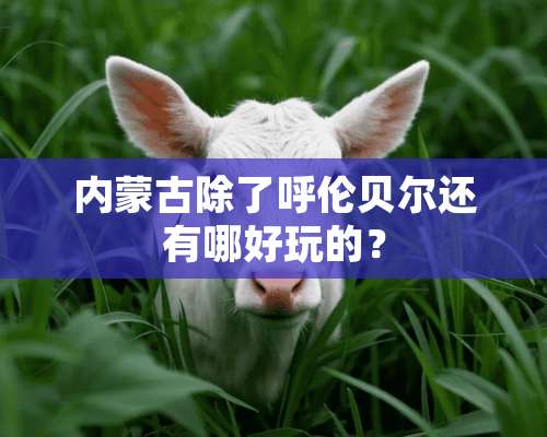 ***除了呼伦贝尔还有哪好玩的？