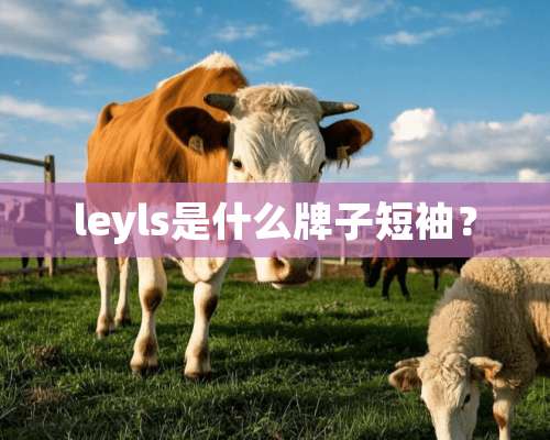 leyls是什么牌子短袖？