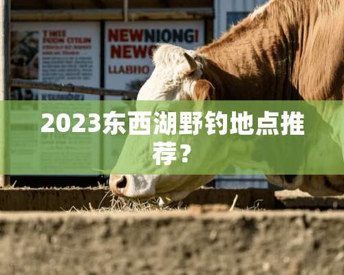 2023东西湖野钓地点推荐？