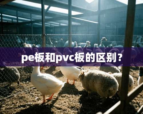 pe板和pvc板的区别？