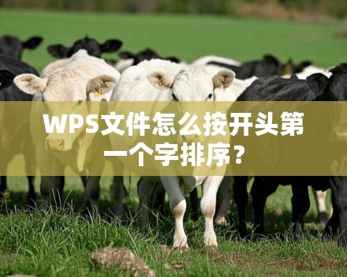 WPS文件怎么按开头第一个字排序？