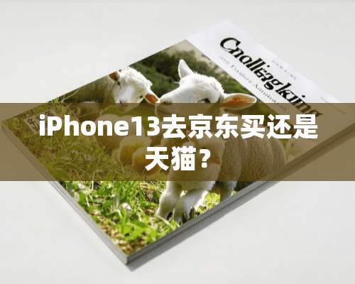 iPhone13去京东买还是天猫？